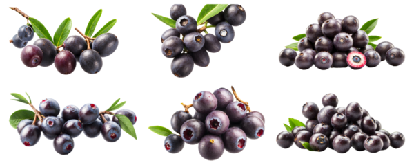Superfood Delight Bunch of Fresh Sweet Acai Berries Fruit Isolated on Transparent Background