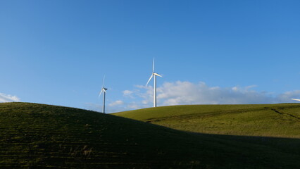 wind turbine in the field