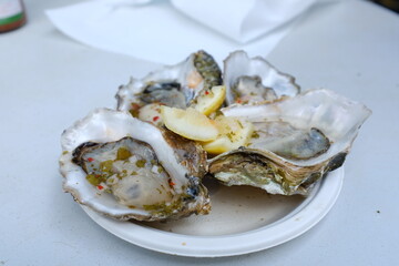 oysters
