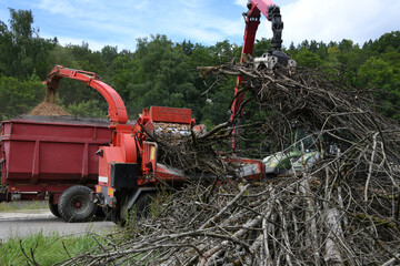 Eine Holzhäckselmaschine zerkleinert Äste im Wald. Das zerkleinerte Holz wird als Silage in Futtermittel oder Biogasanlagen verwendet. Ein Greifarm legt das Restholz auf das Förderband 