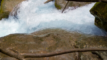 A river with a fast current in the forest among the trees.