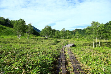 長野県志賀高原のトレッキングルート