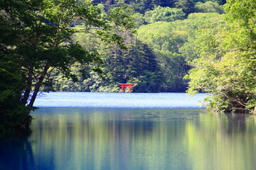 長野県の大沼池