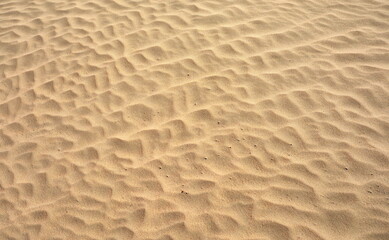 Desert Dune Texture Close Up. Sand texture. Desert surface detail.