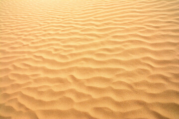 Desert Dune Texture Close Up. Sand texture. Desert surface detail.