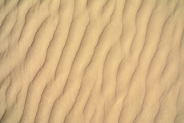 Desert Dune Texture Close Up. Sand texture. Desert surface detail.