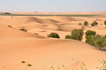 Sunset over the desert of Al Khatim in Abu Dhabi, Emirates. Golden Sand Dune Desert Landscape Panorama. Beautiful sunset over the sand dunes in the Al Khatim in Abu Dhabi, Emirates