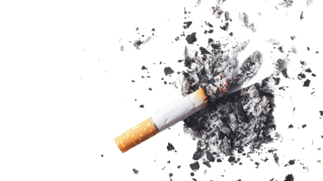 Cigarette on a transparent background