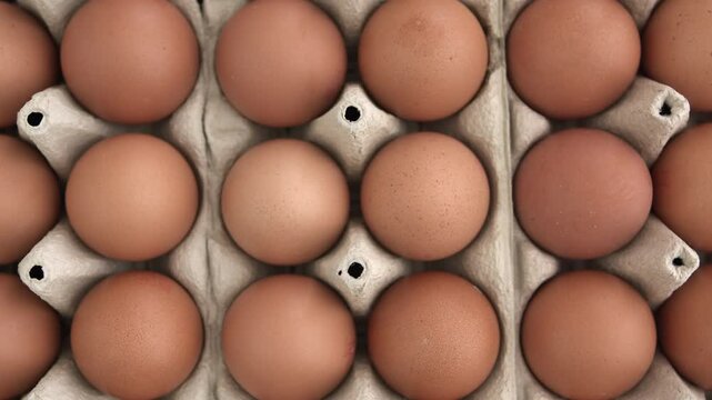 Overhead view of eggs in egg carton rotating. Fresh eggs viewed from the top.