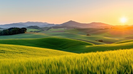 A breathtaking view of an idyllic green landscape featuring gently rolling hills bathed in the golden light of sunrise, presenting a tranquil and picturesque rural scene.