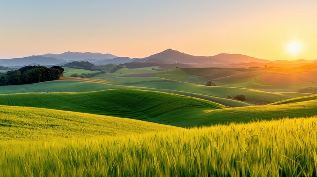 A breathtaking view of an idyllic green landscape featuring gently rolling hills bathed in the golden light of sunrise, presenting a tranquil and picturesque rural scene.