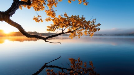 A serene scene of golden autumn leaves extending over a calm lake at sunrise, showcasing the tranquil beauty and reflective nature of a peaceful morning in autumn. © Pinklife