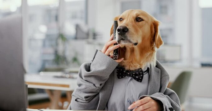 Phone call, cellphone and dog in office with hands, business and pet insurance agent. Technology, smartphone and Golden Retriever or corporate employee, humor and workplace for comic customer support