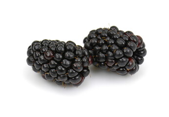 blackberry isolated on white background.