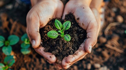 Nonprofit: Provides essential services for charitable, educational, or social causes via NGOs, foundations, and charitable organizations, supporting community welfare.
