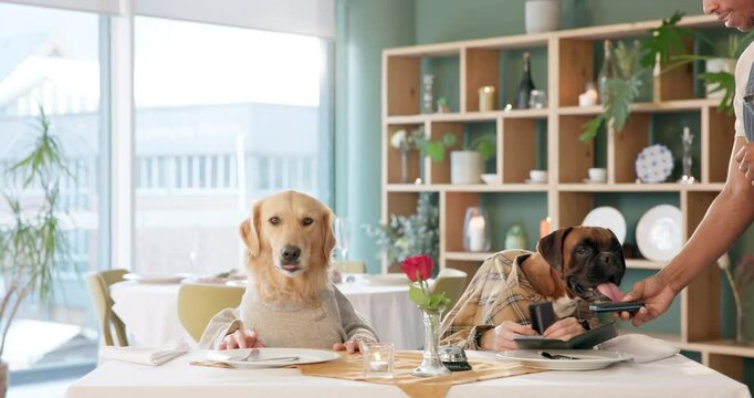 Dogs, face and payment in restaurant with bank card for dinner, lunch or national pet month. Celebration, animal couple or waiter for hospitality, fine dining or pet service with terminal machine - Powered by Adobe