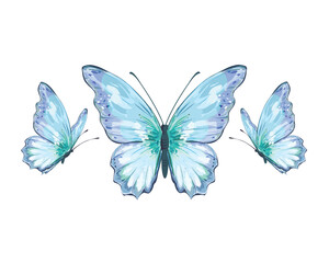 blue watercolor hand drawn