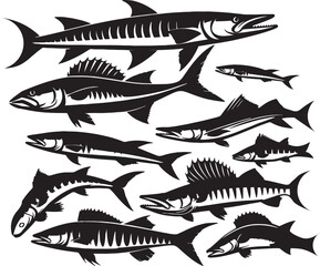 A collection of black and white vector illustrations of barracuda fish