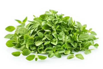 Fototapeta premium A pile of fresh spinach leaves on a clean white surface