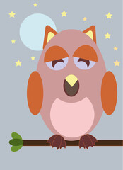 Owl  