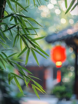 Bamboo in a garden with a red lantern in the background. 