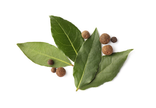 Fresh green bay leaves and peppercorns on white background, top view