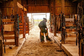 Cowboy preparing to saddle his horse in barn with tack hanging on posts