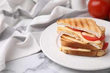 Pieces of toasted bread with melted cheese and tomato on light marble table, closeup. Space for text