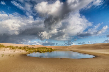 Dune fragment, Łeba, Poland, Słowinski National Park nature reserve, created on January 1, 1967 and covers an area of ​​327.44 km². The central part of the Polish coast, in the Pomeranian Voivodeship.