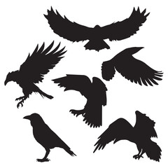 Flock of Raven Crow Birds Vector illustration