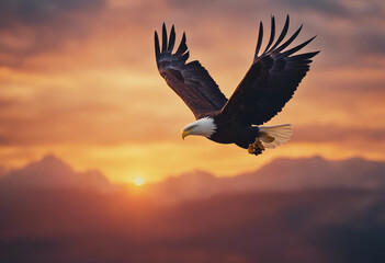 Fototapeta premium bald eagle soaring in the sky with wings spread, dramatic sunset colors