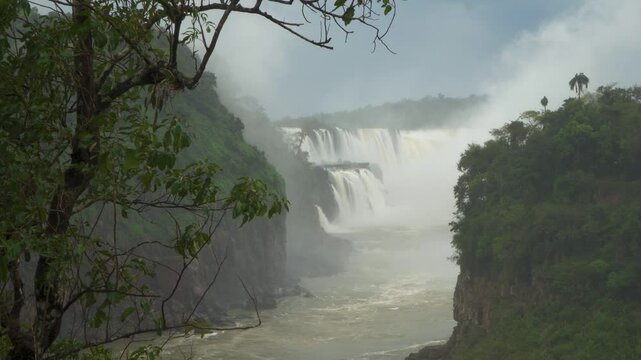 Humedad en la selva misionera con sus cataratas