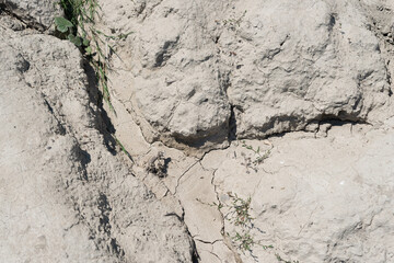 rills in sand (landscape erosion)