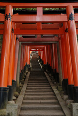 japanese shrine in kyoto 'Senbon Torii, 1000 gates' / 千本鳥居，稲荷大社(稲荷神社) @古都京都