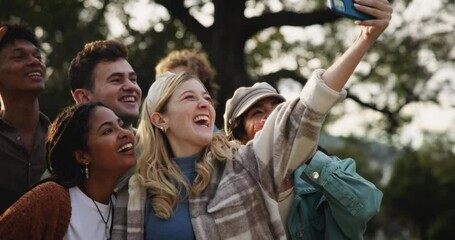 Happy people, students and nature with selfie for photography, memory or outdoor moment. Group of young friends with smile, emoji or peace sign for picture, capture or get together at park or forest