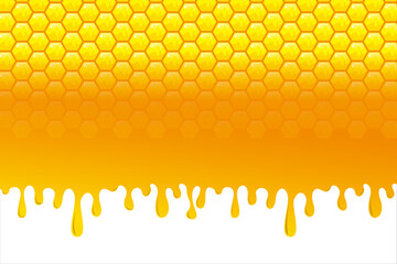 honey bee background