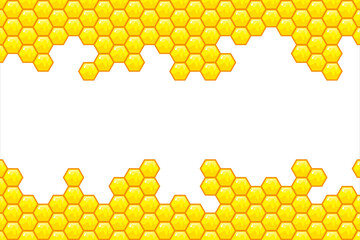 honey bee background
