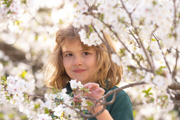 Fototapeta premium Cute blonde kid boy in spring garden. Little child under a blossom tree. Happy kid playing under blooming cherry tree. Kid with flower on Easter. Adorable kid in blooming cherry garden on spring day.