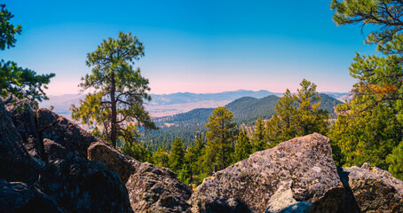 Scattergravel Mountain Rocky Hilltop View of Helena, Montana, USA: Tranquil beauty of the pine...