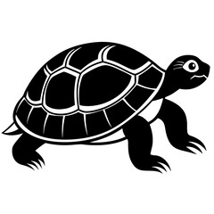 Vector of turtle design on white background. Easy editable layered vector illustration. Wild Animals.