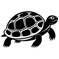 Vector of turtle design on white background. Easy editable layered vector illustration. Wild Animals.