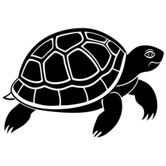 Vector of turtle design on white background. Easy editable layered vector illustration. Wild Animals.