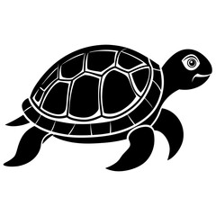 Vector of turtle design on white background. Easy editable layered vector illustration. Wild Animals.