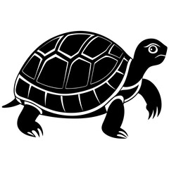 Vector of turtle design on white background. Easy editable layered vector illustration. Wild Animals.