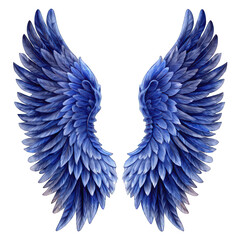 Fototapeta premium Indigo angel wings isolated on transparent background