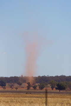 A column of dust, held aloft by a willy-willy, rises high into the air