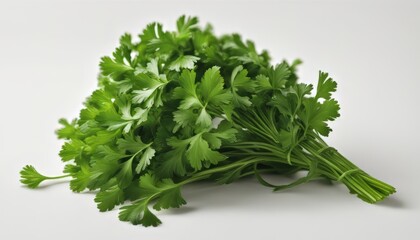 Fototapeta premium Bunch of fresh green parsley isolated on white