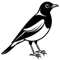 Minimalist Myna icon silhouette vector illustration