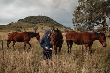 Teen boy standing at farm fence interacting with horses