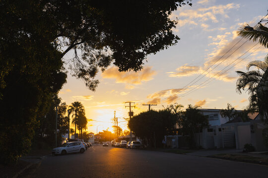 Cars parked in residential street at sunset